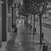 Cornella lluvia 00060