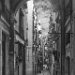 Raval 0038a