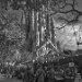 Sagrada Familia 0013