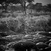 Tanzania 0018