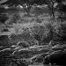 Tanzania 0019