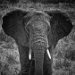 Tanzania 0029