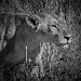 Tanzania 0051