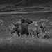 Tanzania 0072