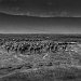 Tanzania 0084