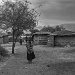 Tanzania 0161